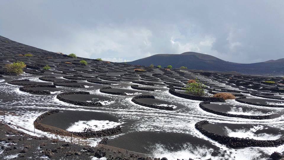 what-s-the-weather-like-in-lanzarote