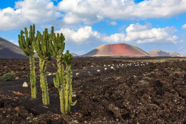 Exploring Lanzarote off the beaten track (Part One)